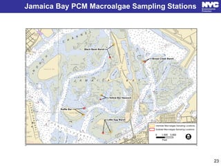 Jamaica Bay PCM Macroalgae Sampling Stations
23
 