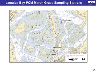 Jamaica Bay PCM Marsh Grass Sampling Stations
24
 