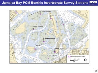 Jamaica Bay PCM Benthic Invertebrate Survey Stations
25
 