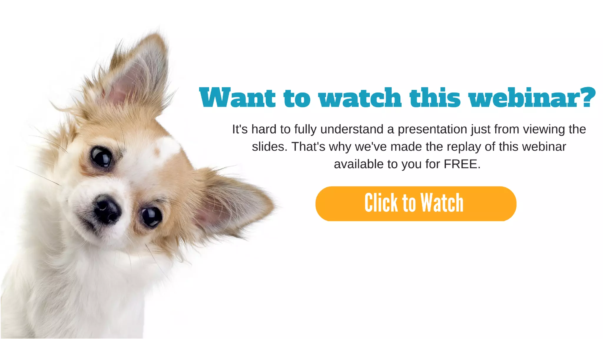 Underwritten by: Presented by:
 