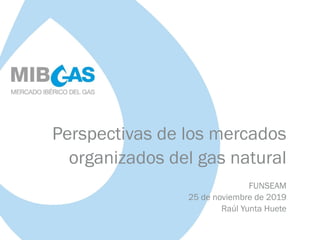 Perspectivas de los mercados
organizados del gas natural
FUNSEAM
25 de noviembre de 2019
Raúl Yunta Huete
 