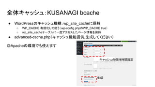 ȫ奭å壺KUSANAGI bcache
 WordPressΥåCwp_site_cache˱
 WP_CACHE Єʹwp-config.phpWP_CACHE true
 wp_site_cacheƩ`֥һȥک`򱣳
 advanced-cache.phpåCṩ,ɤƤ
ApacheέhǤʹޤ

åα֕rgO
 