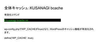 ȫ奭å壺KUSANAGI bcache
Єޥ
# kusanagi bcache onaaaaaaaaaaaaaaaaaaaaaaaa
wp-config.phpWP_CACHEtrueȤʤꡢWordPressΥåCܤЄ
ޤ
define('WP_CACHE', true);
 