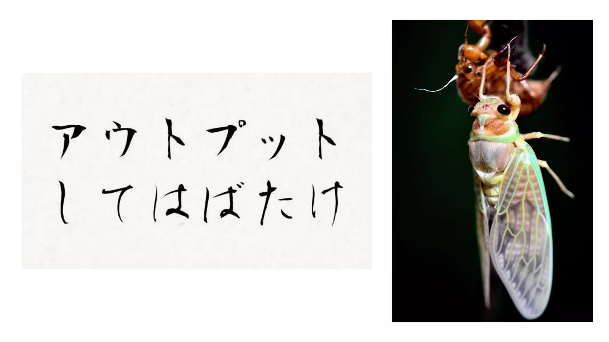 20191220  「アウトプットしないのは知的な便秘」の影響力