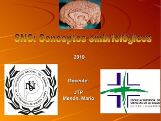 20192019
Docente:Docente:
JTPJTP
Menón, MarioMenón, Mario
 