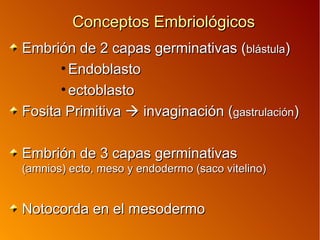 Conceptos EmbriológicosConceptos Embriológicos
Embrión de 2 capas germinativas (Embrión de 2 capas germinativas (blástulablástula))
• EndoblastoEndoblasto
• ectoblastoectoblasto
Fosita PrimitivaFosita Primitiva  invaginación (invaginación (gastrulacióngastrulación))
Embrión de 3 capas germinativasEmbrión de 3 capas germinativas
(amnios) ecto, meso y endodermo (saco vitelino)(amnios) ecto, meso y endodermo (saco vitelino)
Notocorda en el mesodermoNotocorda en el mesodermo
 