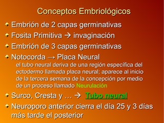Conceptos EmbriológicosConceptos Embriológicos
Embrión de 2 capas germinativasEmbrión de 2 capas germinativas
Fosita PrimitivaFosita Primitiva  invaginacióninvaginación
Embrión de 3 capas germinativasEmbrión de 3 capas germinativas
Notocorda → Placa NeuralNotocorda → Placa Neural
el tubo neural deriva de una región específica delel tubo neural deriva de una región específica del
ectodermo llamada placa neural; aparece al inicioectodermo llamada placa neural; aparece al inicio
de la tercera semana de la concepción por mediode la tercera semana de la concepción por medio
de un proceso llamadode un proceso llamado Neurulación
Surco, Cresta y …Surco, Cresta y …  Tubo neuralTubo neural
Neuroporo anterior cierra el día 25 y 3 díasNeuroporo anterior cierra el día 25 y 3 días
más tarde el posteriormás tarde el posterior
 