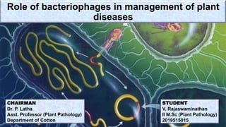Role of bacteriophages in management of plant diseases | PPTX