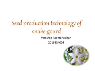 Seed production technology of
snake gourd
Vanisree Padmanabhan
2019534005
 