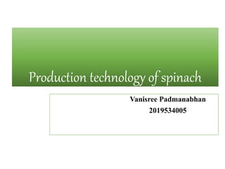 Production technology of spinach
Vanisree Padmanabhan
2019534005
 