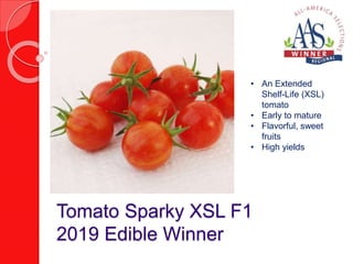 Tomato Sparky XSL F1
2019 Edible Winner
• An Extended
Shelf-Life (XSL)
tomato
• Early to mature
• Flavorful, sweet
fruits
• High yields
 