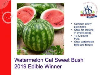 Watermelon Cal Sweet Bush
2019 Edible Winner
• Compact bushy
plant habit
• Great for growing
in small spaces
• 10-12 pound
fruits
• Great watermelon
taste and texture
 