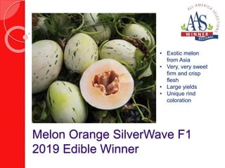 Melon Orange SilverWave F1
2019 Edible Winner
• Exotic melon
from Asia
• Very, very sweet
firm and crisp
flesh
• Large yields
• Unique rind
coloration
 
