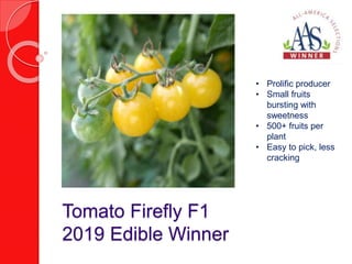 Tomato Firefly F1
2019 Edible Winner
• Prolific producer
• Small fruits
bursting with
sweetness
• 500+ fruits per
plant
• Easy to pick, less
cracking
 