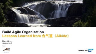 PUBLIC
Marc Gong
19 March 2019
Build Agile Organization
Lessons Learned from 合气道（Aikido）
 