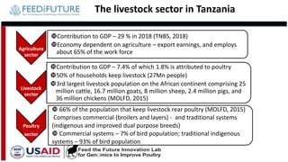 Tanzania and Ghana poultry value chains: A status report | PPTX