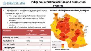Tanzania and Ghana poultry value chains: A status report | PPTX