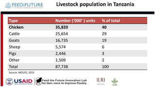 Tanzania and Ghana poultry value chains: A status report