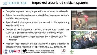 Tanzania and Ghana poultry value chains: A status report