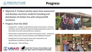 Tanzania and Ghana poultry value chains: A status report