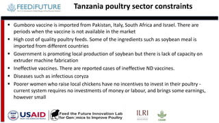 Tanzania and Ghana poultry value chains: A status report
