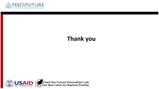 Tanzania and Ghana poultry value chains: A status report