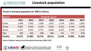 Tanzania and Ghana poultry value chains: A status report