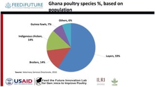 Tanzania and Ghana poultry value chains: A status report