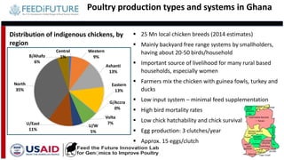 Tanzania and Ghana poultry value chains: A status report