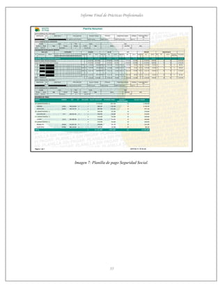 Informe Final de Prácticas Profesionales
35
Imagen 7: Planilla de pago Seguridad Social.
 