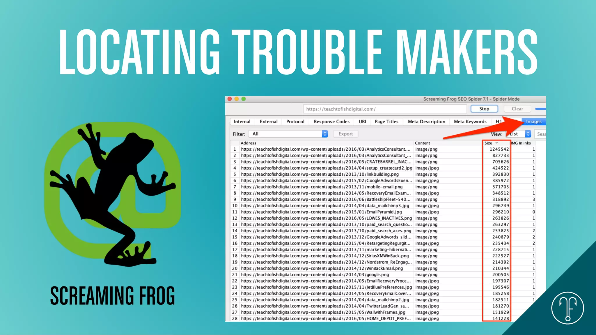 LOCATINGTROUBLE MAKERS
SCREAMING FROG
 