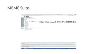 MEME Suite
MEME HTML ǳܳٱܳ٤򥯥åƽʾ
 