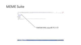 MEME Suite
TOMTOM HTML ǳܳٱܳ٤򥯥å
 