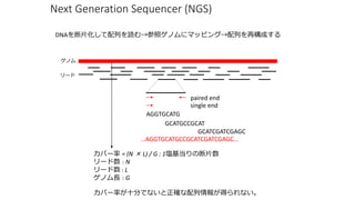 Щ` = (N  L) / G : 1cζƬ
` : N
` : L
ΥL : G
AGGTGCATGCCGCATCGATCGAGC
AGGTGCATG
GCATGCCGCAT
GCATCGATCGAGC
paired end
single end
Υ
`
Next Generation Sequencer (NGS)
DNAƬФiեΥ˥ޥåԥ󥰡Ф٘ɤ
Щ`ʤʮ֤Ǥʤ_󤬵äʤ
 