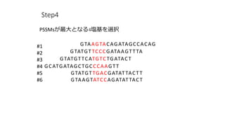 Step4
GTAAGTACAGATAGCCACAG
GTATGTTCCCGATAAGTTTA
GTATGTTCATGTCTGATACT
GCATGATAGCTGCCCAAGTT
GTAAGTATCCAGATATTACT
#1
#2
#3
#4
#5
#6
GTATGTTGACGATATTACTT
PSSMsȤʤ4cxk
 