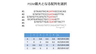 1 2 3 4
A 0 0.8 0.4 0.8
T 0 0 0.6 0.2
G 0.6 0.2 0 0
C 0.4 0 0 0
GTAAGTACAGATAGCCACAG
GTATGTTCCCGATAAGTTTA
GTATGTTCATGTCTGATACT
GCATGATAGCTGCCCAAGTT
GTATGTTGACGATATTACTT
GTAAGTATCCAGATATTACT
#1
#2
#3
#4
#5
#6
pi
34/120=0.283
41/120=0.342
25/120=0.208
20/120=0.167
PSSMȤʤФxk
 