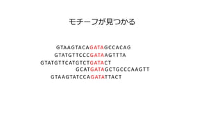 GTAAGTACAGATAGCCACAG
GTATGTTCCCGATAAGTTTA
GTATGTTCATGTCTGATACT
GCATGATAGCTGCCCAAGTT
GTAAGTATCCAGATATTACT
`դҊĤ
 