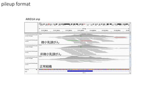 pileup format
ARID1A snp
M
΢С^
΢С^
 