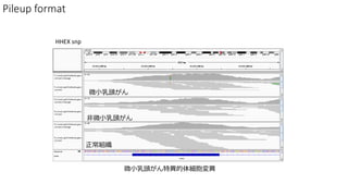 HHEX snp
Pileup format
M
΢С^
΢С^
΢С^خ弚䮐
 
