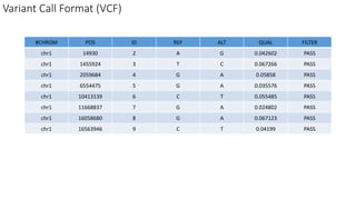 Variant Call Format (VCF)
#CHROM POS ID REF ALT QUAL FILTER
chr1 14930 2 A G 0.042602 PASS
chr1 1455924 3 T C 0.067266 PASS
chr1 2059684 4 G A 0.05858 PASS
chr1 6554475 5 G A 0.035576 PASS
chr1 10413139 6 C T 0.055485 PASS
chr1 11668837 7 G A 0.024802 PASS
chr1 16058680 8 G A 0.067123 PASS
chr1 16563946 9 C T 0.04199 PASS
 