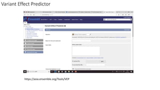 Variant Effect Predictor
https://asia.ensemble.org/Tools/VEP
 