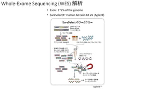 ? Exon : 1~2% of the genome
? SureSelectXT Human All Exon Kit V6 (Agilent)
Whole-Exome Sequencing (WES) 
Agilent ?
 