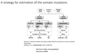 A strategy for estimation of the somatic mutations
VarScan 2: Somatic mutation and copy number alteration discovery in cancer by exome
sequencing.
Koboldt, D., et al.Genome Res. 2012 22:568-576
Normal vs Non-micropapillary
Normal vs MPA
 