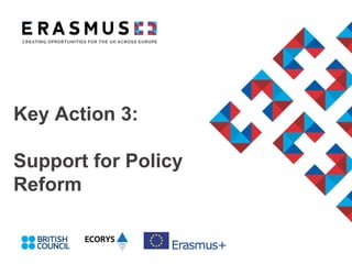 Key Action 3:
Support for Policy
Reform
 