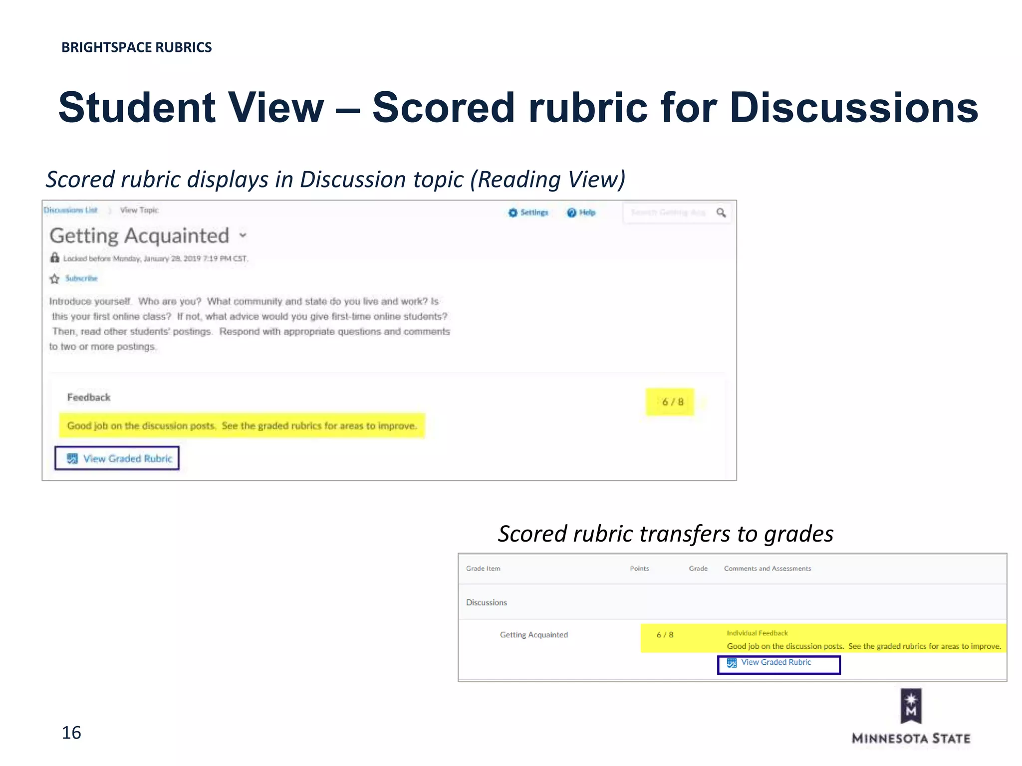 16
Scored rubric displays in Discussion topic (Reading View)
BRIGHTSPACE RUBRICS
Student View – Scored rubric for Discussions
Scored rubric transfers to grades
 