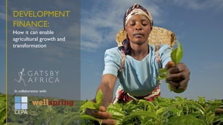 DEVELOPMENT
FINANCE:
How it can enable
agricultural growth and
transformation
In collaboration with:
 
