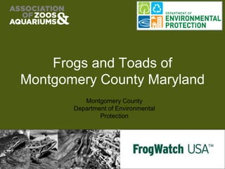 Frogs and Toads of
Montgomery County Maryland
Montgomery County
Department of Environmental
Protection
 