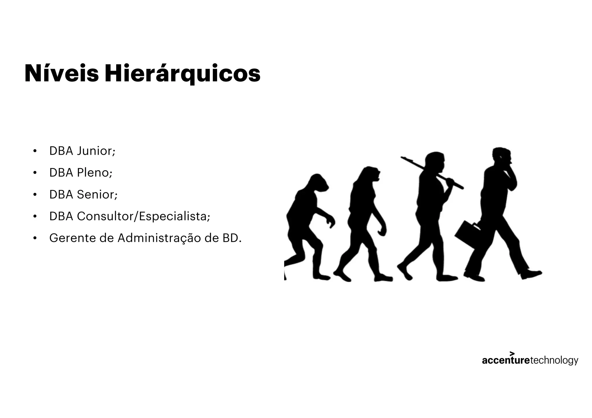 Níveis Hierárquicos
• DBA Junior;
• DBA Pleno;
• DBA Senior;
• DBA Consultor/Especialista;
• Gerente de Administração de BD.
 