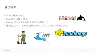 2 © Cloudera, Inc. All rights reserved.
自己紹介
• 小林大輔 (d1ce__)
• Cloudera 入社 7 年目
• Hadoop エコシステムのテクニカルサポート
• 社内のエンジニアへの技術トレーニング、エスカレーション対応
 