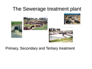 The Sewerage treatment plant
Primary, Secondary and Tertiary treatment
 